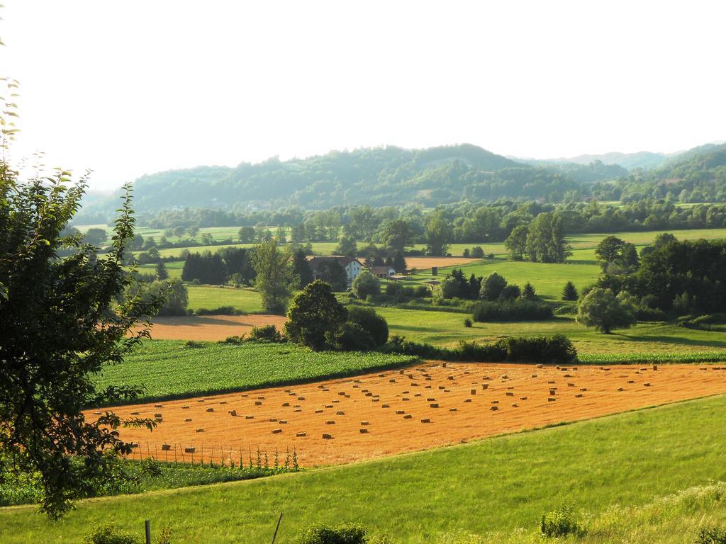 Farm Stay Kramer Bistrica ob Sotli Zewnętrze zdjęcie